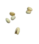 pistachio image